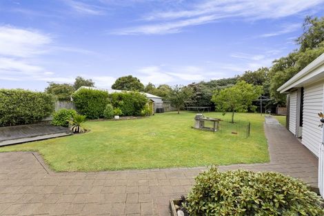 Photo of property in 22 Wellington Street, Feilding, 4702
