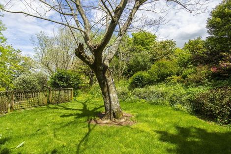 Photo of property in 7 Westridge Drive, Tauriko, Tauranga, 3110