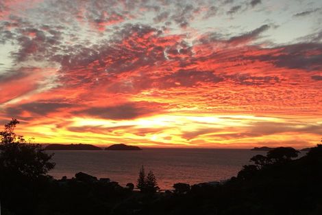 Photo of property in 52 Woods Road South, Colville, Coromandel, 3584