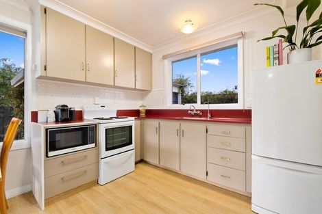 Photo of property in 93 Ventry Street, Alexandra, 9320