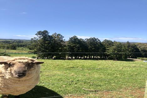 Photo of property in 26 Doonside Road, Kerikeri, 0294