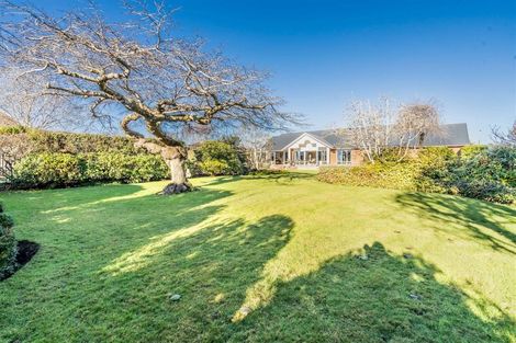 Photo of property in 100 Terrace Street, Rosedale, Invercargill, 9810