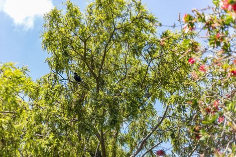 Photo of property in 69 Herald Street, Berhampore, Wellington, 6023