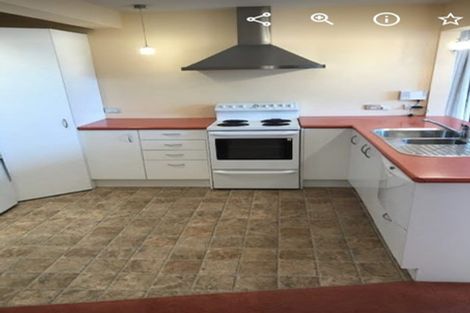 Photo of property in 55 Bedford Street, Northland, Wellington, 6012