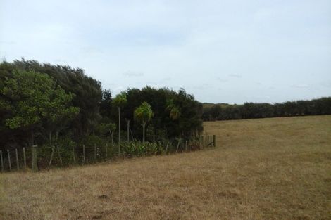 Photo of property in 174 Morrison Road, Pukekawa, Tuakau, 2696
