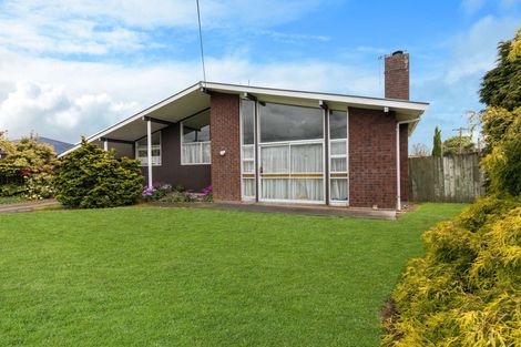 Photo of property in 96 Stortford Street, Ashhurst, 4810