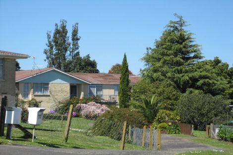 Photo of property in 11 Gavin Place, Huntly, 3700