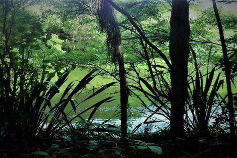 Photo of property in 174 Morrison Road, Pukekawa, Tuakau, 2696