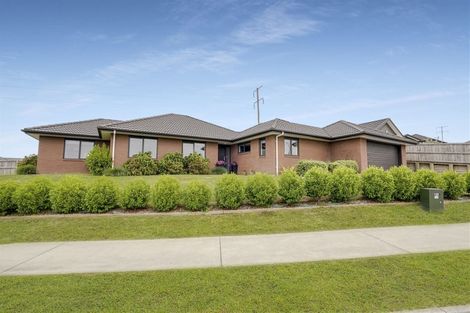 Photo of property in 117 Te Manatu Drive, Huntington, Hamilton, 3210