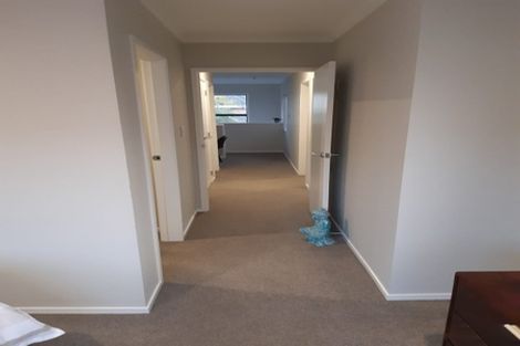 Photo of property in 2/13 Beale Street, Hamilton East, Hamilton, 3216