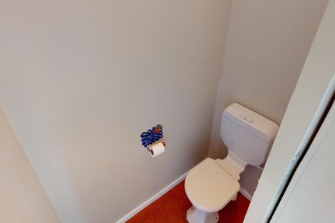 Photo of property in 19 Surrey Crescent, Hokowhitu, Palmerston North, 4410