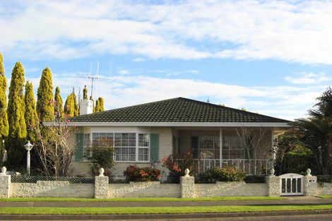 Photo of property in 32 Burn Street, Levin, 5510