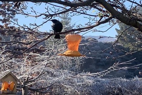 Photo of property in 162 Te Awa Road, Albert Town, Wanaka, 9382