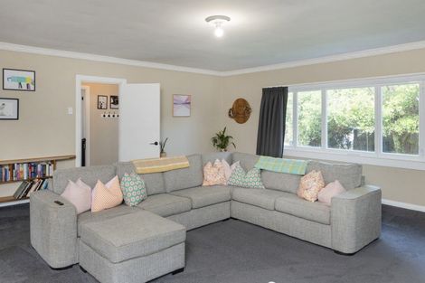 Photo of property in 117 Awapuni Road, Awapuni, Gisborne, 4010