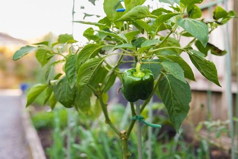 Photo of property in 17 Dal Din Drive, Otaki, 5512