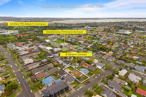 Photo of property in 4 Grant Street, Mount Albert, Auckland, 1025