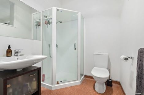 Photo of property in Haining Apartments, 1/38 Haining Street, Te Aro, Wellington, 6011