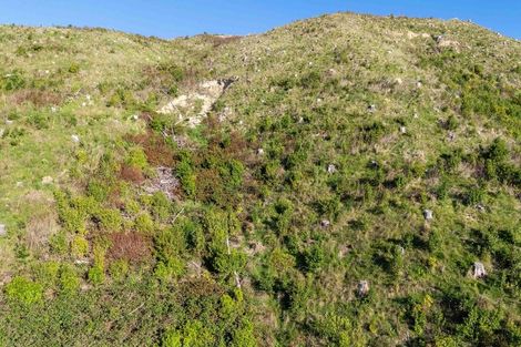 Photo of property in 213 Reikorangi Road, Waikanae, 5391