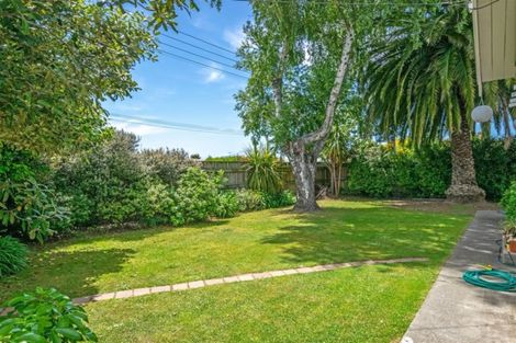 Photo of property in 67 George Street, Blenheim, 7201