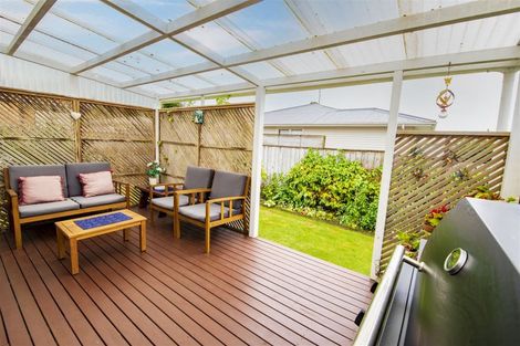 Photo of property in 14 Montgomery Street, Levin, 5510