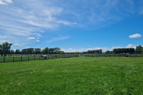 Photo of property in 1329 Rangitikei Line, Newbury, Palmerston North, 4475