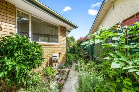 Photo of property in 17a Vickery Street, Kaiapoi, 7630