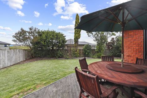 Photo of property in 55 Snell Street, Morrinsville, 3300