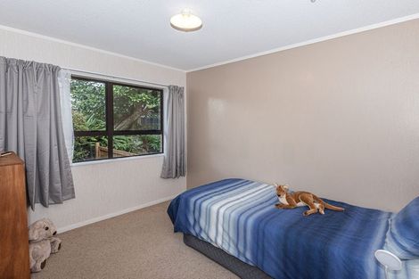 Photo of property in 3 Magnolia Avenue, Opaheke, Papakura, 2113