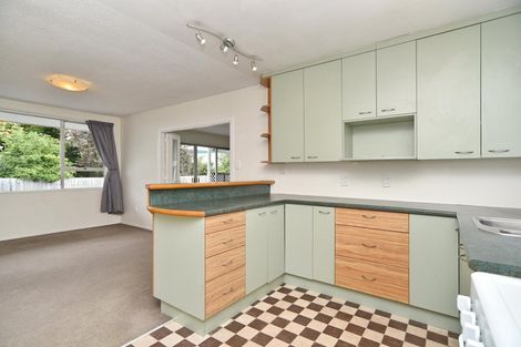 Photo of property in 129 Briggs Road, Shirley, Christchurch, 8052