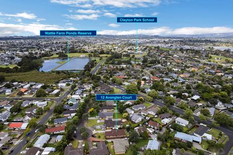 Photo of property in 12 Avonglen Court, Wattle Downs, Auckland, 2103