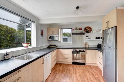 Photo of property in 57 Holyhead Street, Outram, 9019