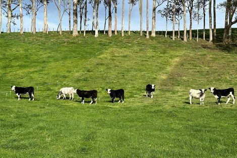 Photo of property in 225 Waotu Road, Putaruru, 3481