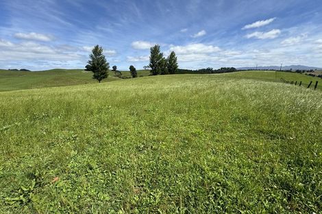 Photo of property in 829 Honikiwi Road, Honikiwi, Otorohanga, 3973