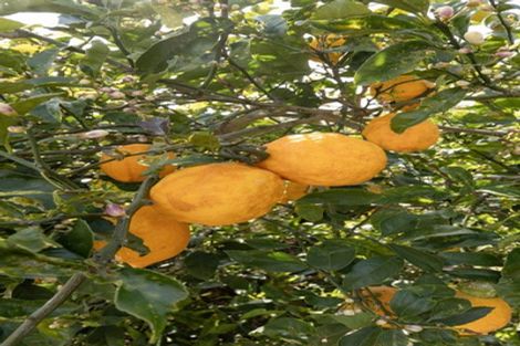 Photo of property in 1 Kowai Grove, Omokoroa, 3114