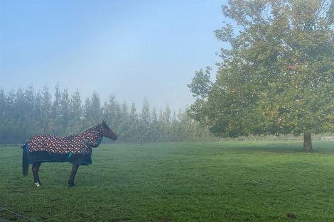 Photo of property in 353 Victoria Road, Pukemoremore, Cambridge, 3493