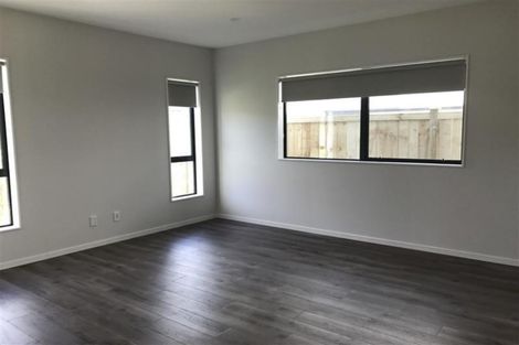 Photo of property in 241 Murphys Road, Flat Bush, Auckland, 2019