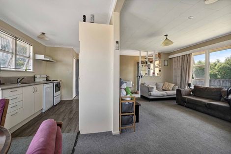 Photo of property in 66a Cloten Road, Stratford, 4332