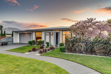 Photo of property in 17 Doppler Place, Wigram, Christchurch, 8042