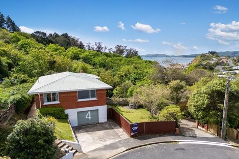 Photo of property in 4 Kohi Place, Port Chalmers, 9023