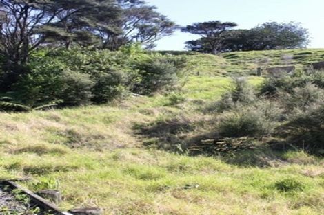 Photo of property in 276 Colville Road, Coromandel, 3584