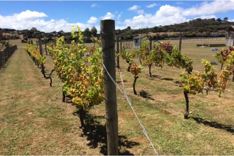 Photo of property in 245a Muriwai Valley Road, Muriwai, Waimauku, 0881