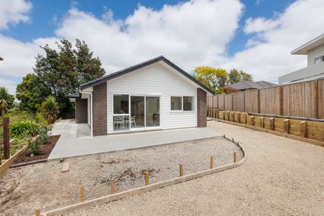 Photo of property in 26a Homelands Avenue, Feilding, 4702