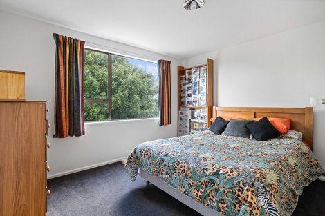 Photo of property in 3 Guise Lane, Hillmorton, Christchurch, 8025