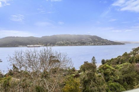 Photo of property in 14 Irvine Road, The Cove, Dunedin, 9077