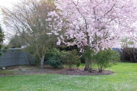 Photo of property in 76 Ajax Street, Milton, 9220