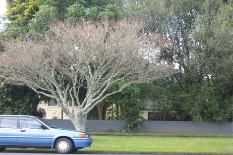 Photo of property in 142 Galloway Street, Hamilton East, Hamilton, 3216