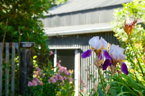 Photo of property in 61 Coroglen Rise, Pukerua Bay, 5026