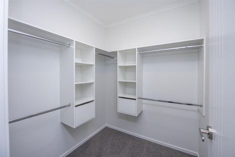 Photo of property in 11 Earp Crescent, Chartwell, Hamilton, 3210