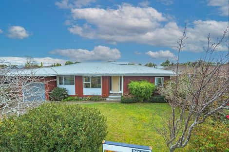 Photo of property in 91 Long Melford Road, Awapuni, Palmerston North, 4412
