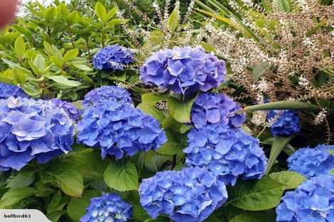 Photo of property in 12 Matai Place, Waikawa, Picton, 7220